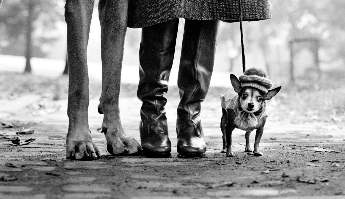 Elliott Erwitt. Une rétrospective 